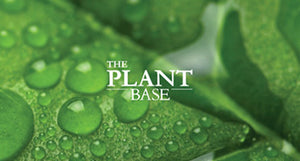 The Plant Base